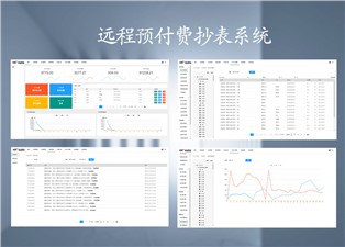 遠程預(yù)付費抄表系統(tǒng)的原理是什么呢？—老王說表